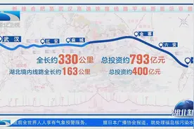 王忠林出席新建合肥至武汉高铁湖北段开工动员活动视频封面