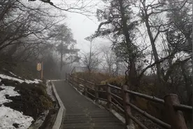 峨眉山的金顶，爬了一个半小时上来的视频封面