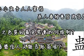 小小虫子人人害怕，杀人毒物竟历史悠久，蛊究竟是怎么回事？视频封面