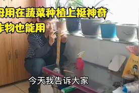 酵母用在种菜养花上挺神奇，浇水施肥加一点，效果不是一般好视频封面