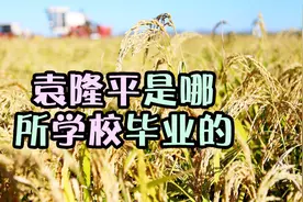 袁隆平这么优秀，他到底是哪所学校毕业的？视频封面