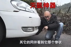 车内进了老鼠怎么办？老司机试验了多种办法，还是这个办法管用视频封面