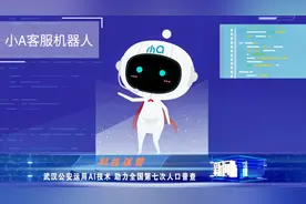 武汉公安运用AI技术，助力全国第七次人口普查视频封面