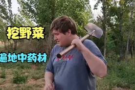 带加拿大老公去挖野菜，遍地中药材，老外：你可不能让我吃这个视频封面