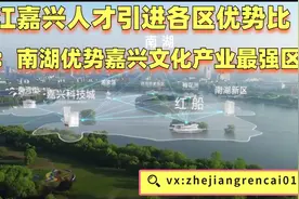 浙江嘉兴人才引进各区优势比较：南湖优势嘉兴文化产业最强区视频封面