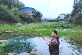 在网上买了四个抓鱼神器，看究竟捕到了什么大货，把小伙高兴坏了视频封面