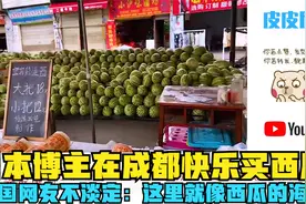 日本博主在成都快乐买西瓜，韩国网友不淡定：这里就像西瓜的海洋视频封面