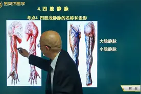 临床01解剖学07脉管系统4静脉4四肢静脉：上肢和下肢静脉的组成视频封面