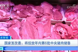国家发改委：将投放年内第6批中央猪肉储备视频封面