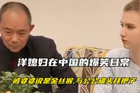 洋媳妇在中国的爆笑日常，被婆婆说是金丝猴,与公公磕头拜把子视频封面