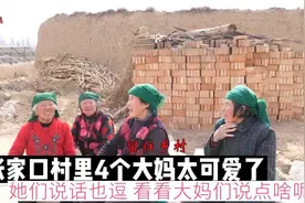 张家口村里4个大妈太可爱了，她们说话也逗，看看大妈们说点啥呢视频封面