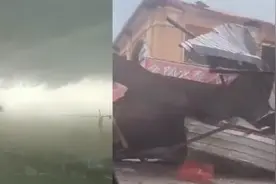 河北阳原遭遇十级大风:大树连根拔起砸中小车 广告牌彩钢板被吹飞视频封面