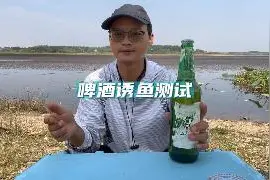 钓鱼用啤酒打窝这诱鱼，水下的鱼瞬间不淡定了 #饵料测评视频封面