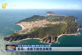 坚持走绿色发展之路,长岛变身“野生动物乐园”,多种动物来此安家视频封面