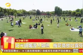 周末遇上阳光！长沙橘子洲梅花娇艳盛开，市民不妨来这踏春赏梅视频封面