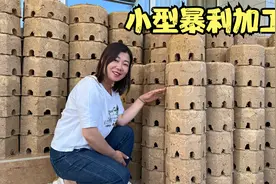 山西暴利小型暴利加工厂，只需一堆废木料，每年轻松收入20万视频封面