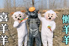 喜羊羊与灰太狼，灰太狼去抓喜羊羊，没想到喜羊羊把他给绑树上了视频封面