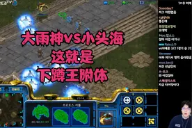 星际争霸 Rain vs Sacsri 这就是下蹲王附体~视频封面