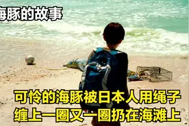 可怜的海豚被日本人用绳子缠上一圈又一圈扔在海滩上视频封面