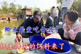 鲫鱼最爱吃什么？红虫肉夹馍可不行，把鱼馋哭的饵料来了！视频封面