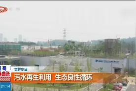 世界水日：污水再生利用，生态良性循环视频封面