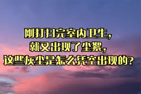 刚打扫完室内卫生，就又出现了尘絮，这些灰尘是怎么凭空出现的？视频封面