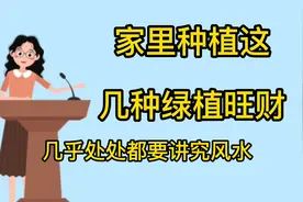家里种这几种绿植风水好又旺财视频封面