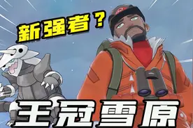 宝可梦剑盾：河马哥刚来到王冠雪原，遇到了一位道馆强者视频封面