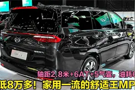 最便宜的3款家用MPV！轴距2.8米配6座+5气囊，跌至8万多要啥GL8视频封面