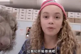 国外一群学生串通恶搞老师，解剖幼鼠引来鼠王报复视频封面