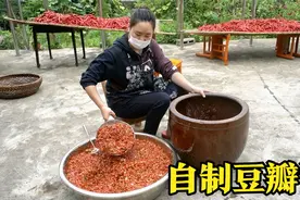 做菜必备的调料“豆瓣酱”，乐乐教您自己在家做，配方比例很详细视频封面