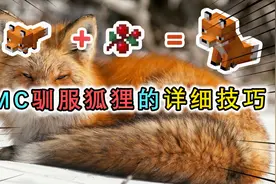 详细揭秘MC狐狸的驯服技巧，手段较为残忍，要让它成为孤儿？