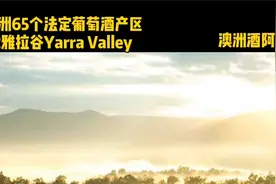 澳洲65个法定葡萄酒产区 - 维州雅拉谷Yarra Valley视频封面