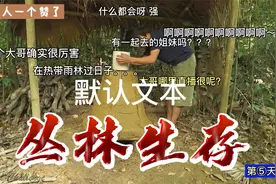 一刀一人挑战热带雨林生存90天原始技术古法烧制陶器教学视频封面