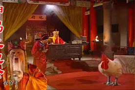 啄人脚能除晦气的公鸡【神鸡土地公】视频封面