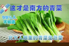 南方人眼中的青菜，到底是什么菜？这问题一直困扰着我们北方人视频封面