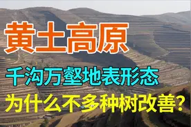 黄土高原千沟万壑、支离破碎的地表形态，为何不多种树加以改善？