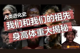 人类进化史|我们和我们的祖先身高体重大揭秘视频封面
