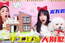 用迷你砖块DIY一栋大别墅！祖传的泥瓦匠手艺，狗狗会喜欢住吗？视频封面