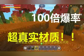 迷你世界：百倍爆率，超真实材质包太真实