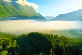 【冥想静心纯音乐+烟雾缭绕+青山】山林不向四季起誓，荣枯随缘视频封面