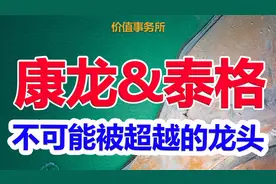 泰格医药和康龙化成，几乎不可能被超越的行业双龙，关键赛道极好视频封面