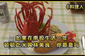如果在南极生活一年，顿顿吃米其林美食，你愿意吗视频封面
