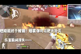 还有这操作？烟雾弹可以把燃烧瓶的火焰扑灭，伤害瞬间变为零？
