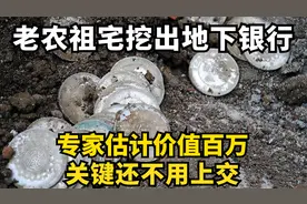 老农祖宅挖出地下银行，专家估计价值百万，关键还不用上交视频封面