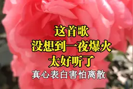 三八节，这首歌，没想到一夜爆火，太好听了，忍不住分享给你！视频封面