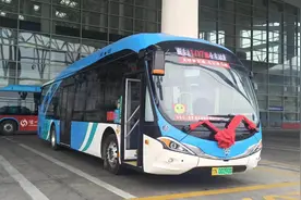 “海豚”造型公交车新车在德州城区上路视频封面