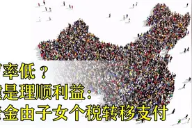 提高生育率：理顺利益视频封面