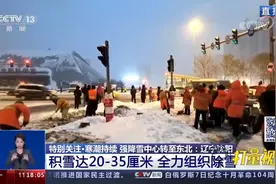 辽宁沈阳强降雪天气持续，各学校、幼儿园继续停课|共同关注视频封面