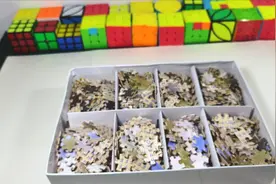 如何拼好1000片拼图：第一步，拼图分类（实在是太多了）视频封面